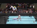 346×283プロレス CG1 SHINYCARD 第2試合