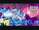 真面目過ぎるポケモン剣盾Part5.5[ゆっくり実況]
