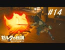 【実況】マスターモード縛りプレイやる part14【ゼルダの伝説 ブレスオフザワイルド】