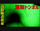 【心霊】トンネルで首つり自殺!?お札が貼ってある葉梨トンネル【ゲッティ】