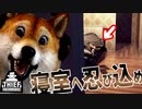【泥棒シミュ#11】寝室に忍び込んじゃう犬