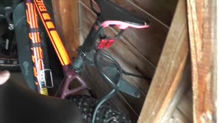 我が家の自転車紹介