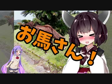 ちょっとそこまでぶらり旅　2019年4月　九州一周ツーリング Part3