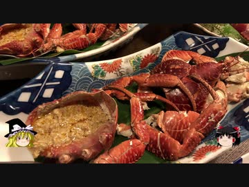 【ゆっくり】チキンの旅日誌　宮古島グルメ旅行⑦　通り池編