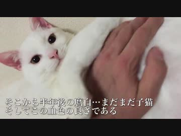 命の色、腎不全とともに褪せ行く