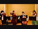 『Shout Baby』 Mel'omage 緑黄色社会さん 僕のヒーローアカデミア 4期EDを弦楽四重奏で演奏してみました！