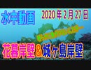 水中動画（2020年2月27日）in 花暮岸壁＆城ヶ島岸壁