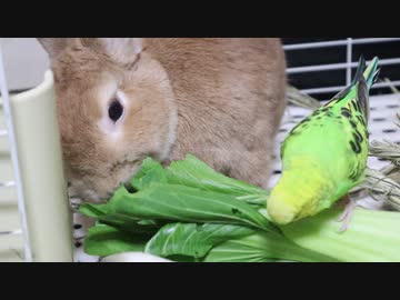 仲良しモグモグ