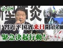【草莽崛起】2.28 習近平国賓来日阻止！楊潔篪来日抗議！緊急決起行動！ [R2/3/1]