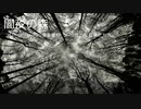 闇夜の森　無料音楽素材・フリーBGM