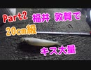 【釣り動画 Part2】福井敦賀で20cm級のキスがたくさん釣れた！海釣り ドローン空撮あり