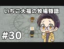 いちご大福の牧場物語：再会のミネラルタウン part30