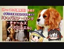 【ゆっくり犬種解説】その7「キャバリア・キング・チャールズ・スパニエル」