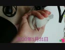 文鳥のブーケちゃん