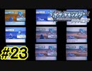ポッチャマと巡る実況プレイ　ダイヤモンド・タイプ一致技縛り　Part23