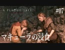【A PLAGUE TALE 】 #7 鼠多すぎーーーー！！