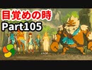 【実況】今年で定年を迎える父をハイラルの大地に放り込むPart105【ゼルダの伝説BotW】
