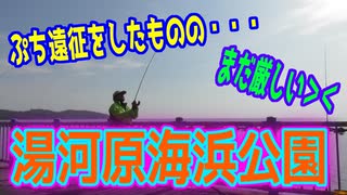 釣り動画ロマンを求めて 328釣目（湯河原海浜公園）