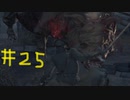 【Bloodborne】フロムゲー初心者のブラッドボーンpart25【実況プレイ】