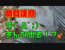 『ハムスターのうんちを激写！』の巻 Hamster Poop Videos. #14【ハムスター物語】