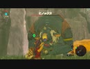 【ゼルダの伝説BOTW】【part14】冷静になって考えると目に矢打ち込むってえぐすぎない？【ゲーム実況】【風神雷神】