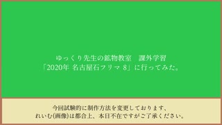 ゆっくり先生の鉱物教室【校外学習1 2020年 名古屋石フリマ 春】