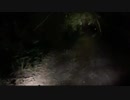 【アーカイブ】怪談家ぁみの宮古島心霊スポット生凸DYA1/ニコ生ホラー③