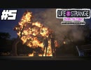 【ゲーム】山火事の理由【ライフイズストレンジ ビフォアザストーム】