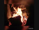 焚き火 パチパチ