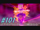 ポケモンコレクターに俺はなる‼#101