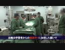 どこから内臓持ってきた？