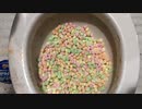 マシュマロをトイレに流してみた８