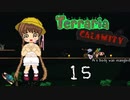 【VOICEROID実況】月読アイの テラリア魔法幼女 Part15【Terraria + CalamityMOD】