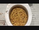 フライドポテトをトイレに流してみた