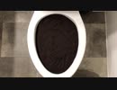 マクドナルドのコーヒーをトイレに流してみた２