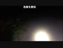 【アーカイブ】怪談家ぁみの宮古島心霊スポット生凸DYA2/ニコ生ホラー①