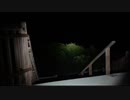 【アーカイブ】怪談家ぁみの宮古島心霊スポット生凸DYA2/ニコ生ホラー②