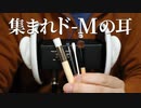 【ASMR】ビクともしない耳をゾクゾクさせる高速耳かき【音フェチ】