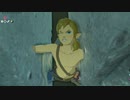 依頼を受けて、ハワ・カイの祠の石ブロックで面白い動きをしてみた