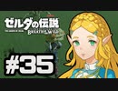 【実況】リンクのハイラル道中膝栗毛 part35【ゼルダの伝説BotW】