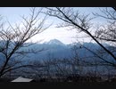 まとめ　Nikon D1X　画質テスト