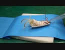虫嫌いなホモと受ける曝露療法