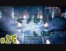 【24歳フリーターの】OCTOPATH TRAVELER【オクトパストラベラー】 part25【俺だけの旅】