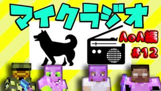 【マイクラジオ】最強の匠は俺だ！絶望的センス4人衆がカオスマイクラジオAOA編♯12【4人実況】