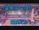 【ポケモン】映えるスポット巡り剣盾実況パート16【ソード・シールド】