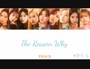 TWICE The Reason Why カナルビ 歌詞 日本語字幕