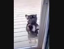 踊るイーヌ