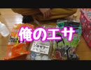 【ありの飼育記#138】俺が使ってるエサを紹介するぞ