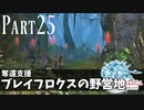 【実況】しっかり者(笑)のFF14！新生エオルゼア編 part25【ブレイフロクスの野営地】