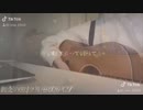 TikTok弾き語り